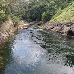 Gudalur Travel Guide 2025: Best of Gudalur Tourism