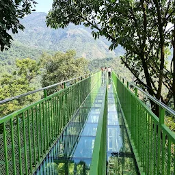 India Just Got Its First Canopy Walk And Here’s Everything You Need To Know About It
