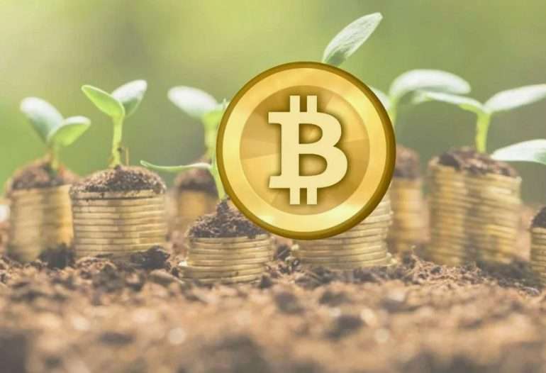 How to Earn Passive Income in Crypto: Staking vs Yield Farming Explained