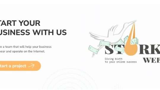 Our Services 