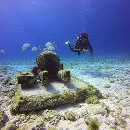 Exploring the Depths: Top Diving Spots