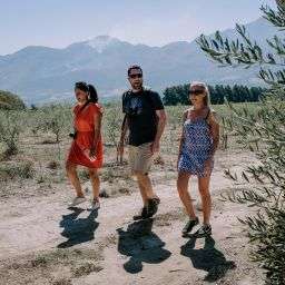 The Benefits of Using Travel Partners for Stress-Free Vacation Planning