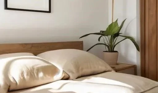 Unveiled: How Natural Bed Company is Quietly Revolutionizing Your Sleep and the Planet!